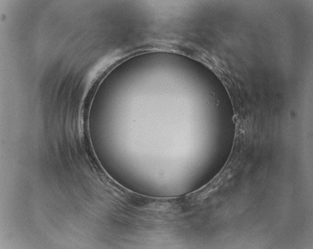 X0000088580294200706081130