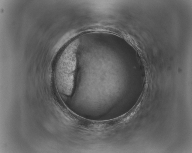 X0000088580295200706081130