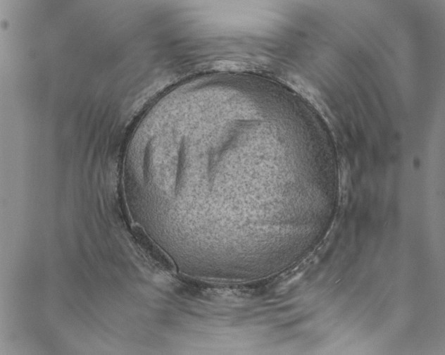 X0000088580297200706081130