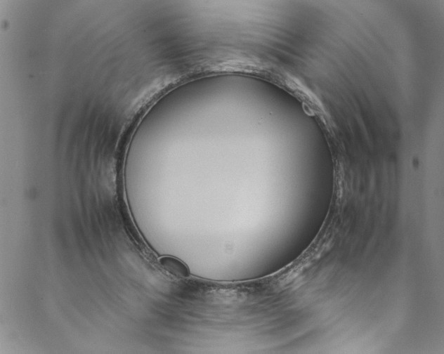 X0000088580298200706081130