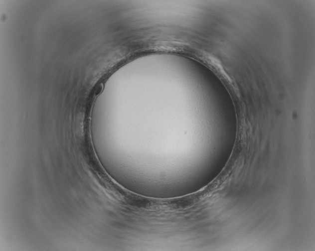 X0000088580299200706081130