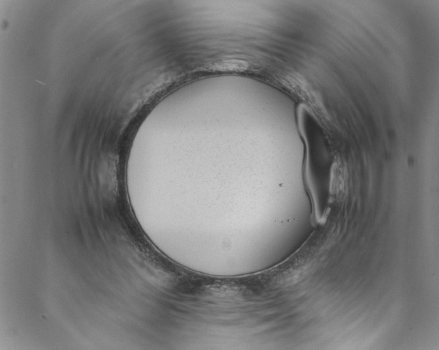 X0000088580300200706081130