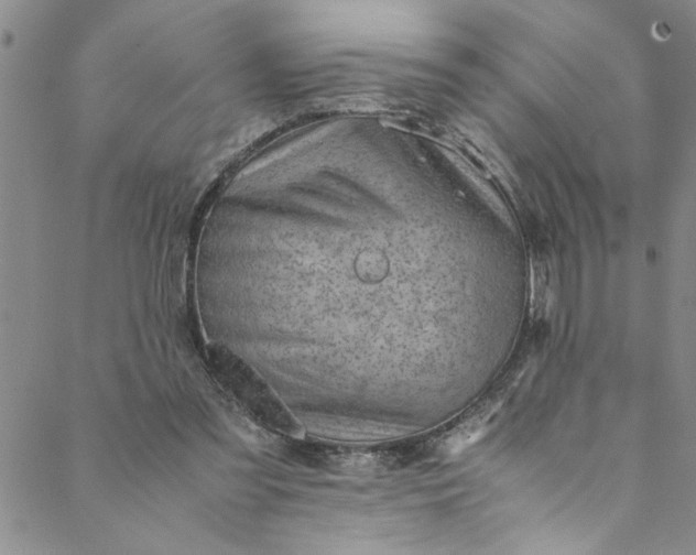 X0000088580301200706081130