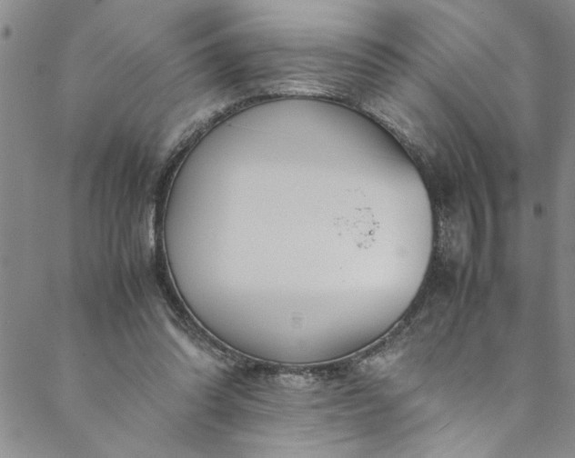 X0000088580302200706081130