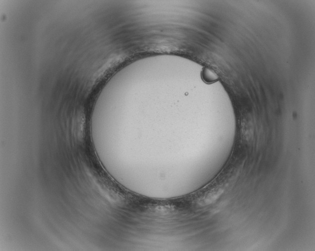 X0000088580304200706081129