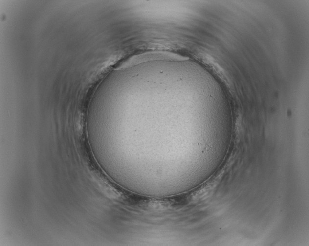 X0000088580305200706081129