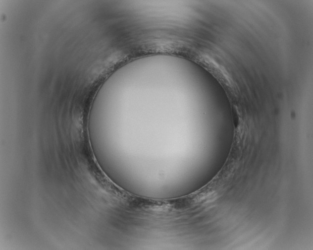 X0000088580306200706081129