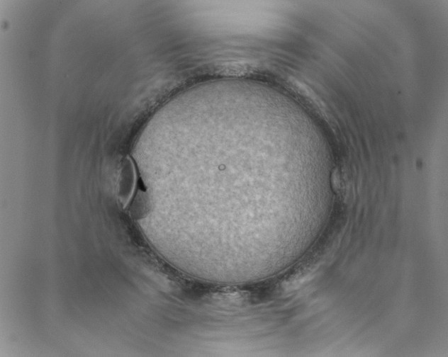 X0000088580307200706081129