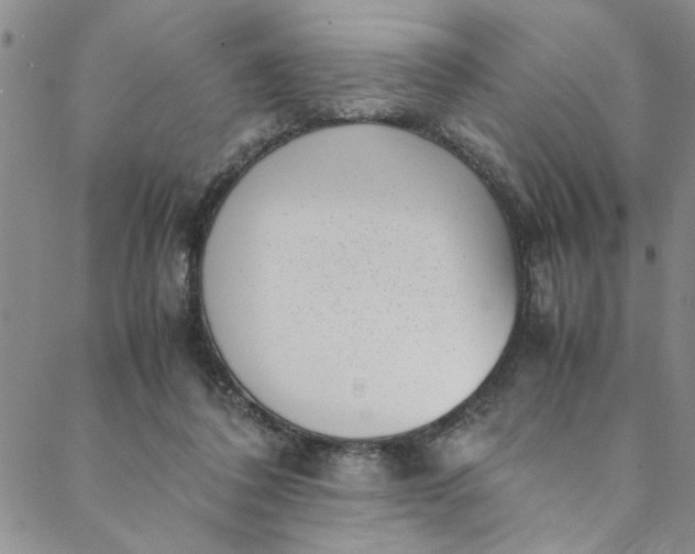 X0000088580308200706081129