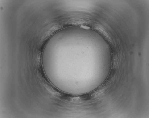 X0000088580309200706081129