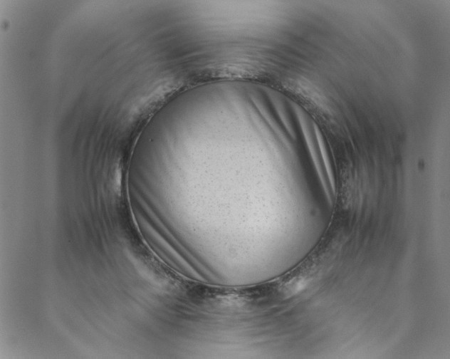 X0000088580310200706081129