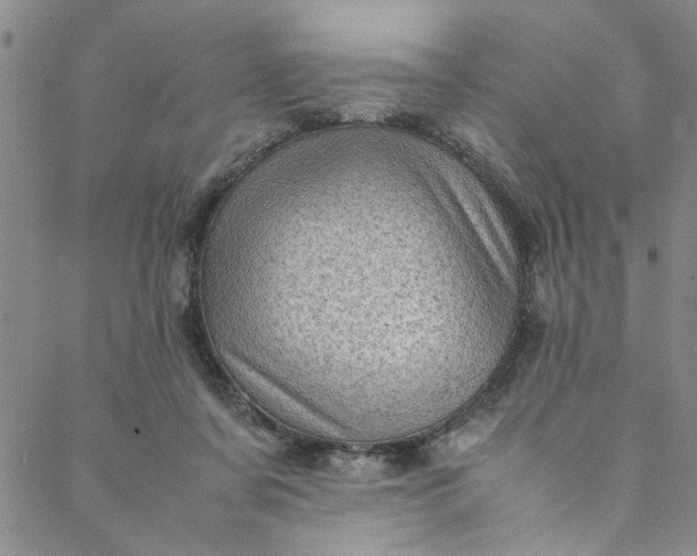 X0000088580311200706081129