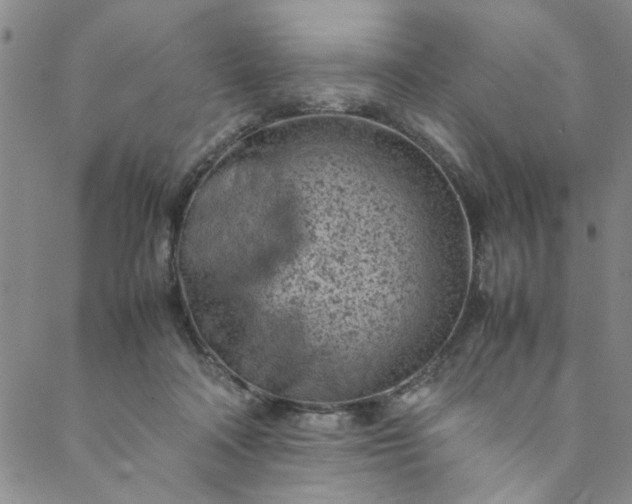 X0000088580314200706081129