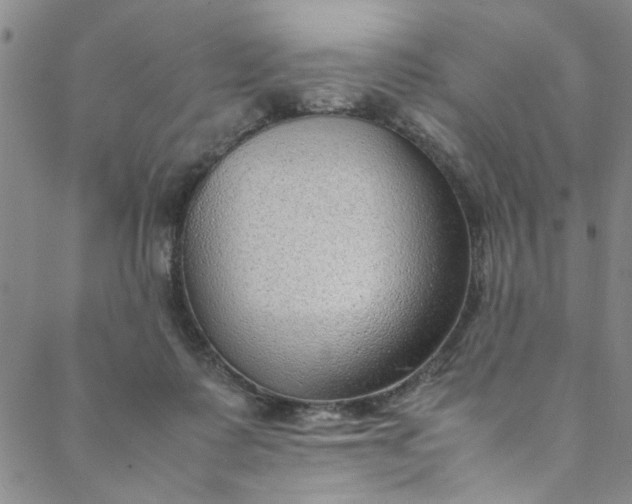 X0000088580315200706081129