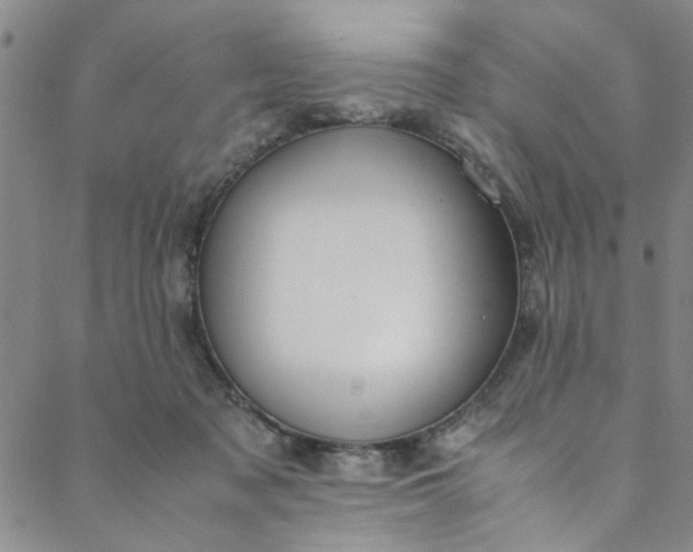 X0000088580317200706081129