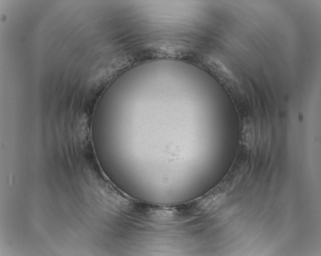 X0000088580318200706081129