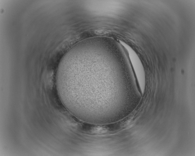 X0000088580319200706081129