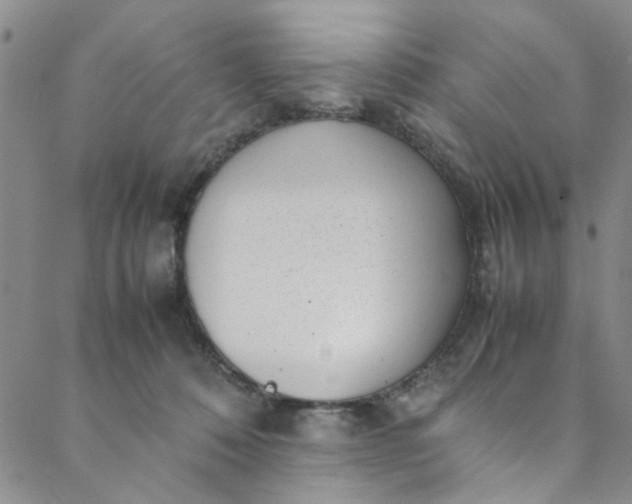 X0000088580320200706081129