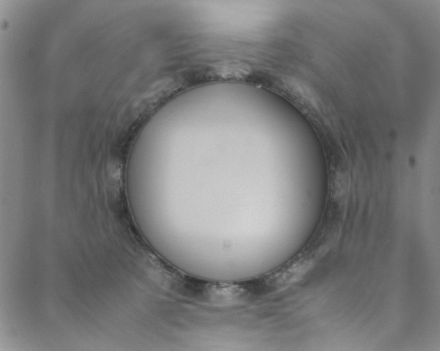 X0000088580321200706081129