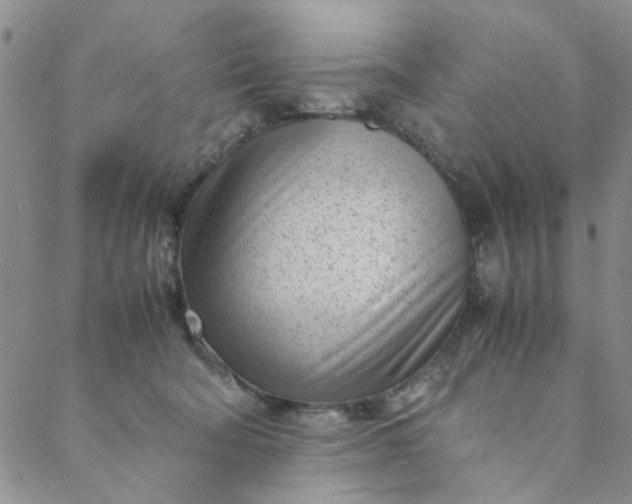 X0000088580322200706081129