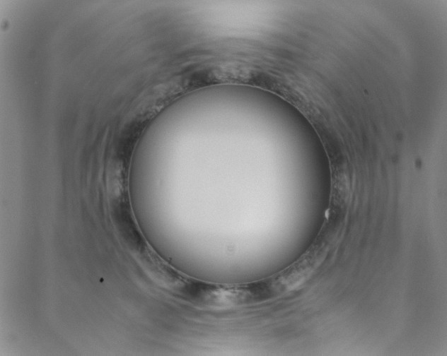 X0000088580323200706081129