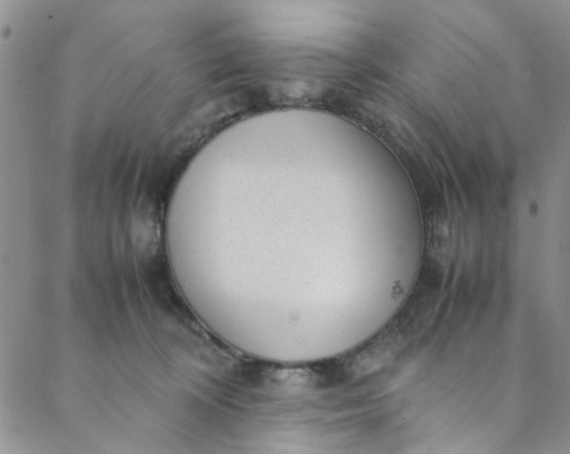 X0000088580324200706081129