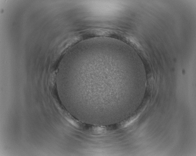 X0000088580325200706081129