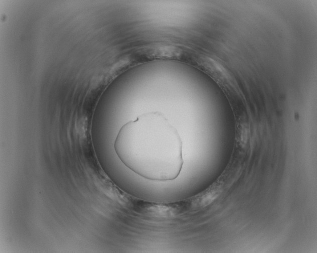 X0000088580326200706081129