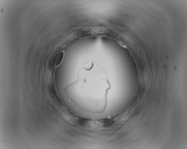 X0000088580327200706081129