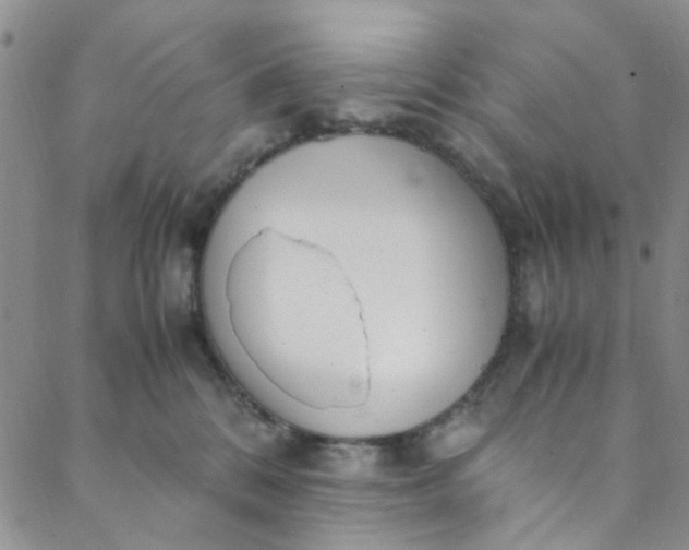 X0000088580328200706081129