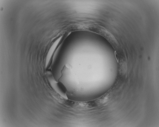 X0000088580329200706081129