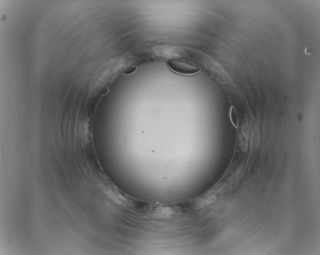 X0000088580330200706081129