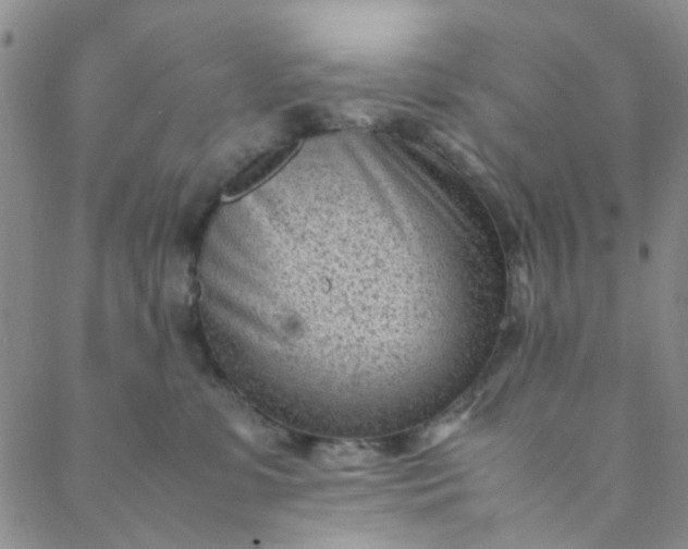 X0000088580331200706081129