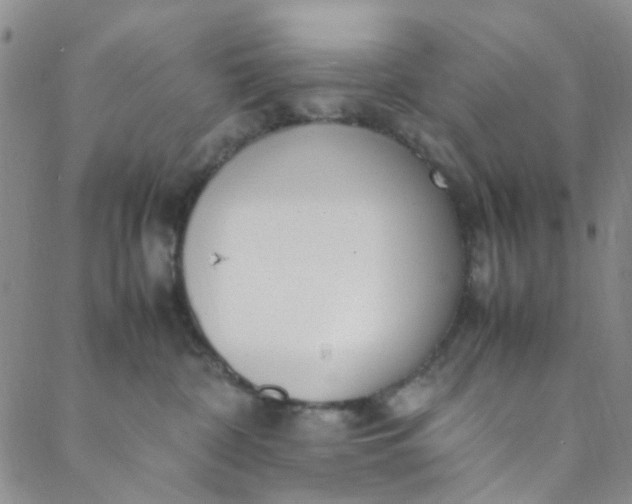 X0000088580332200706081129