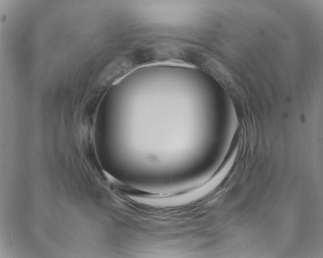 X0000088580333200706081129