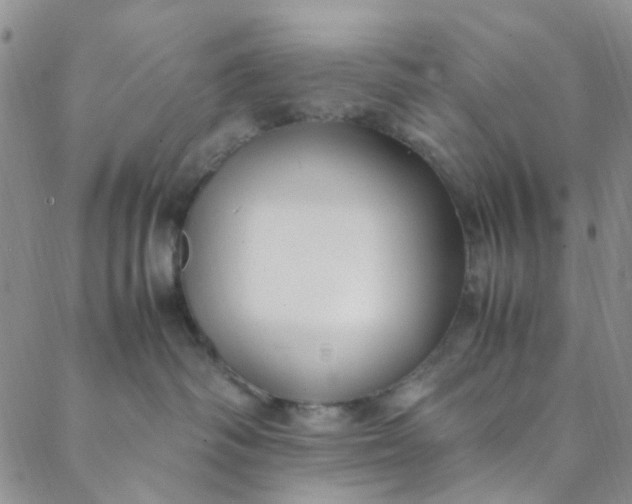 X0000088580334200706081129