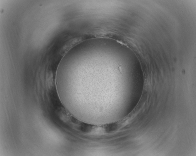 X0000088580335200706081129