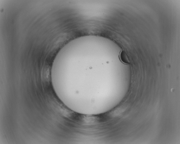 X0000088580336200706081129