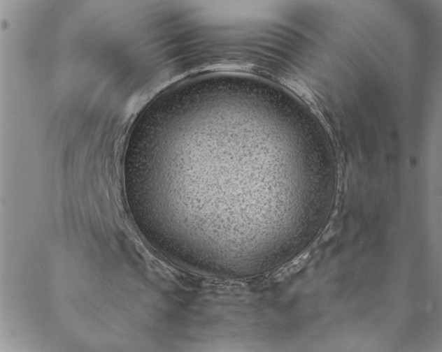 X0000088580337200706081128