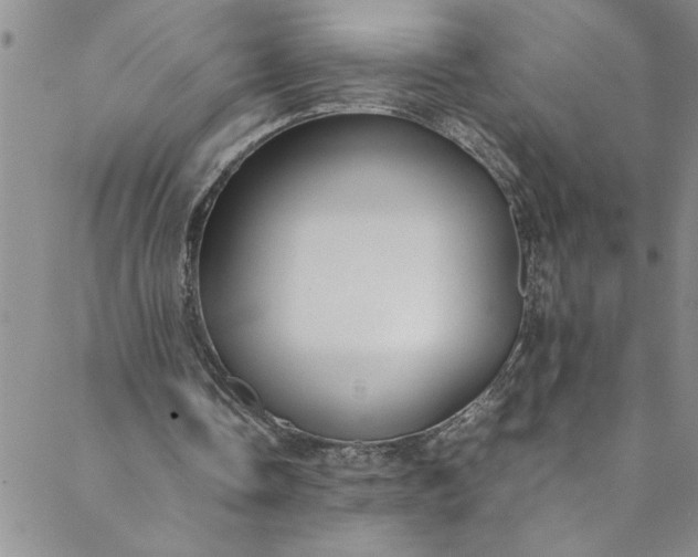 X0000088580338200706081128