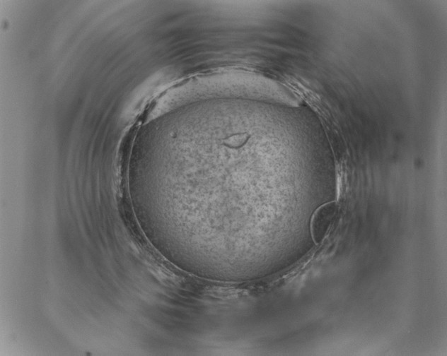 X0000088580339200706081128