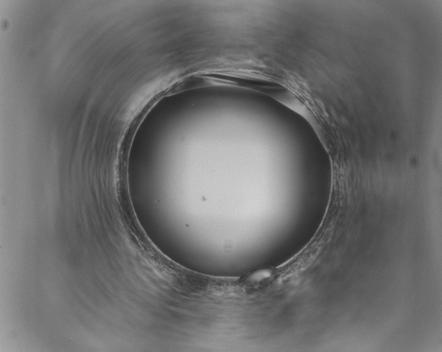 X0000088580340200706081128