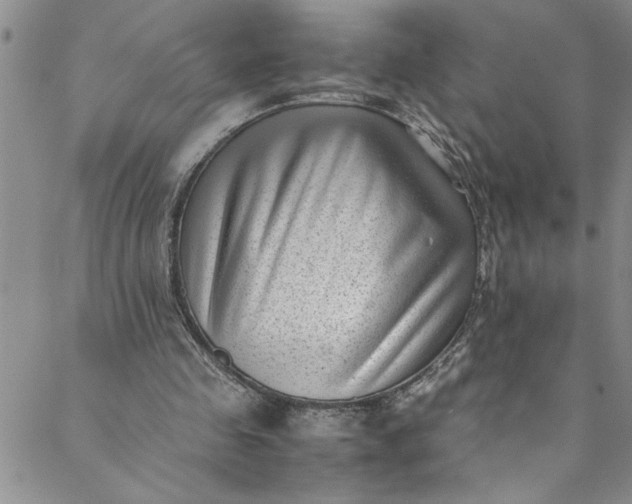 X0000088580341200706081128