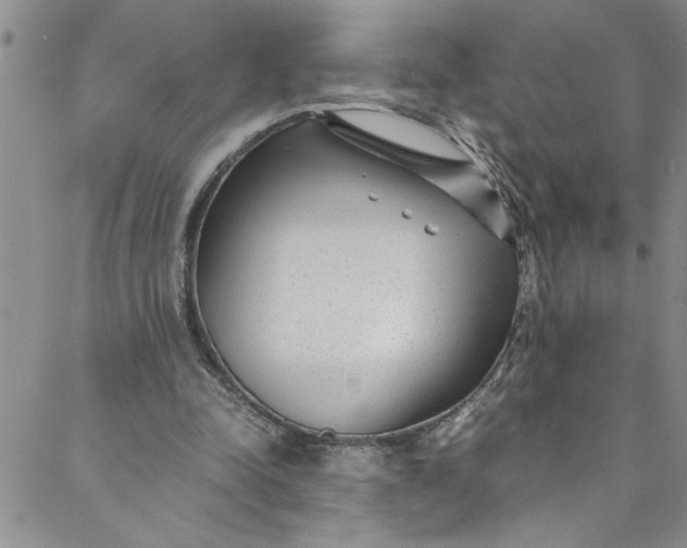 X0000088580342200706081128