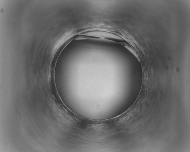 X0000088580344200706081128