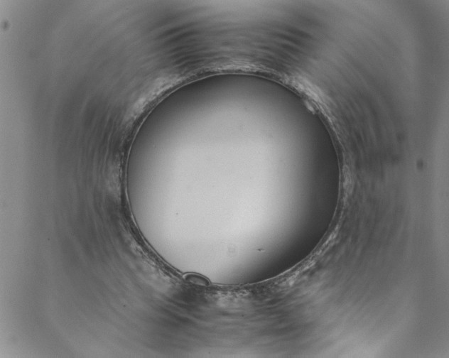 X0000088580345200706081128