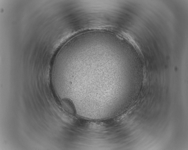 X0000088580346200706081128