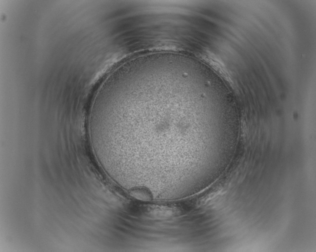 X0000088580347200706081128