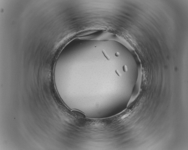 X0000088580348200706081128