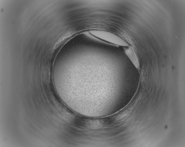 X0000088580349200706081128